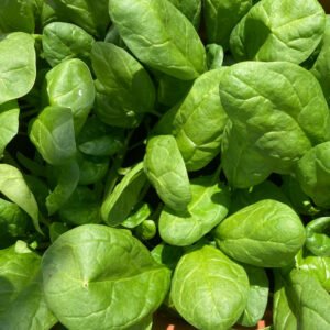 Špinatų milteliai 200g / 400g / 600g