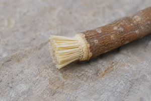 Miswak dantų šepetėlio pagaliukas