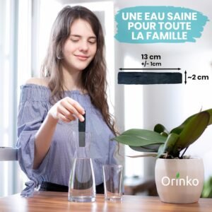 100 % prancūziška aktyvuota anglis vandentiekio vandeniui išvalyti (sunkiuosiems metalams ir chemines medžiagoms šalinti)