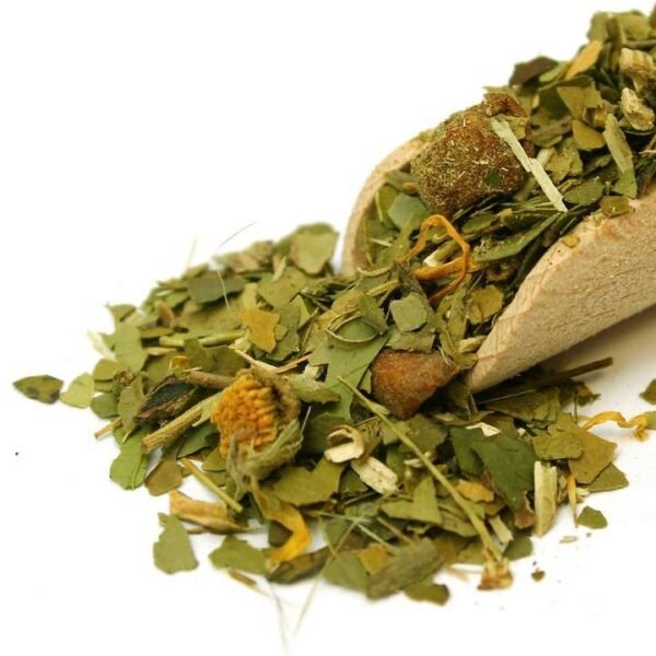 Matė Green FRUTAS pakeliais 25 x 3 g