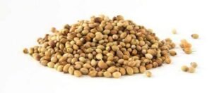 Kalendros sėklos 500g / 1000g