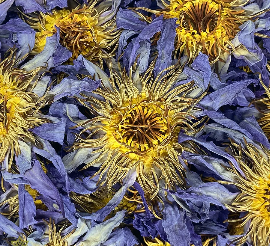 Mėlynojo lotoso žiedai 10g / 20g / 50g