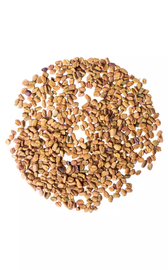 Vaistinės ožragės sėklos 500g / 1000g